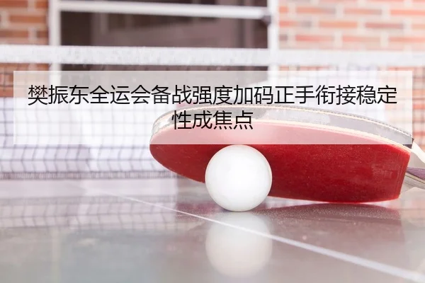 樊振东全运会备战强度加码正手衔接稳定性成焦点